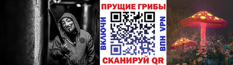 Псилоцибиновые грибы прущие грибы  Ядрин 