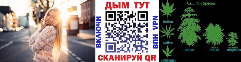 Шишки марихуана гибрид kraken зеркало Ядрин